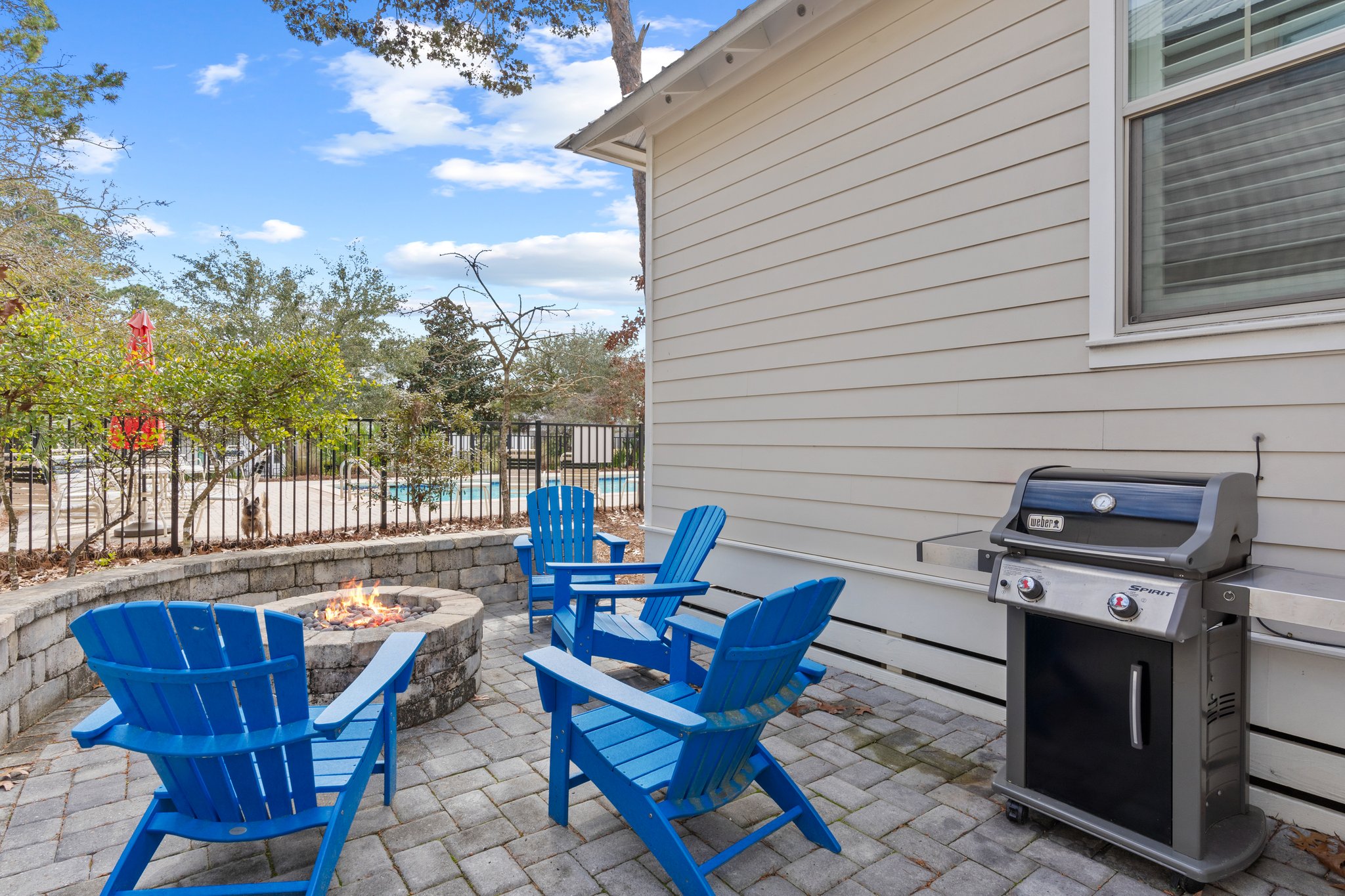 Sun Kissed | Photo 59