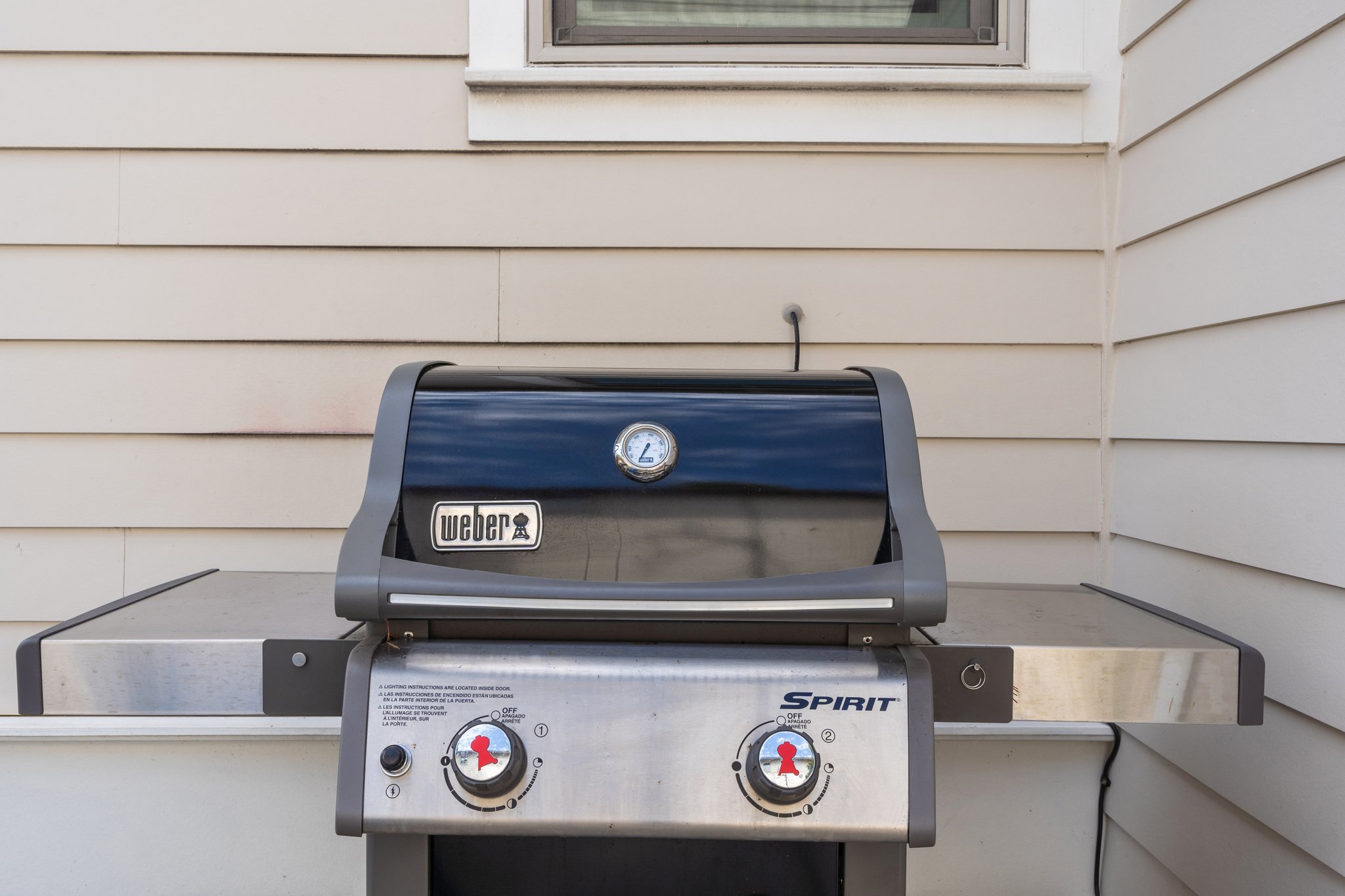 Sun Kissed | Photo 13