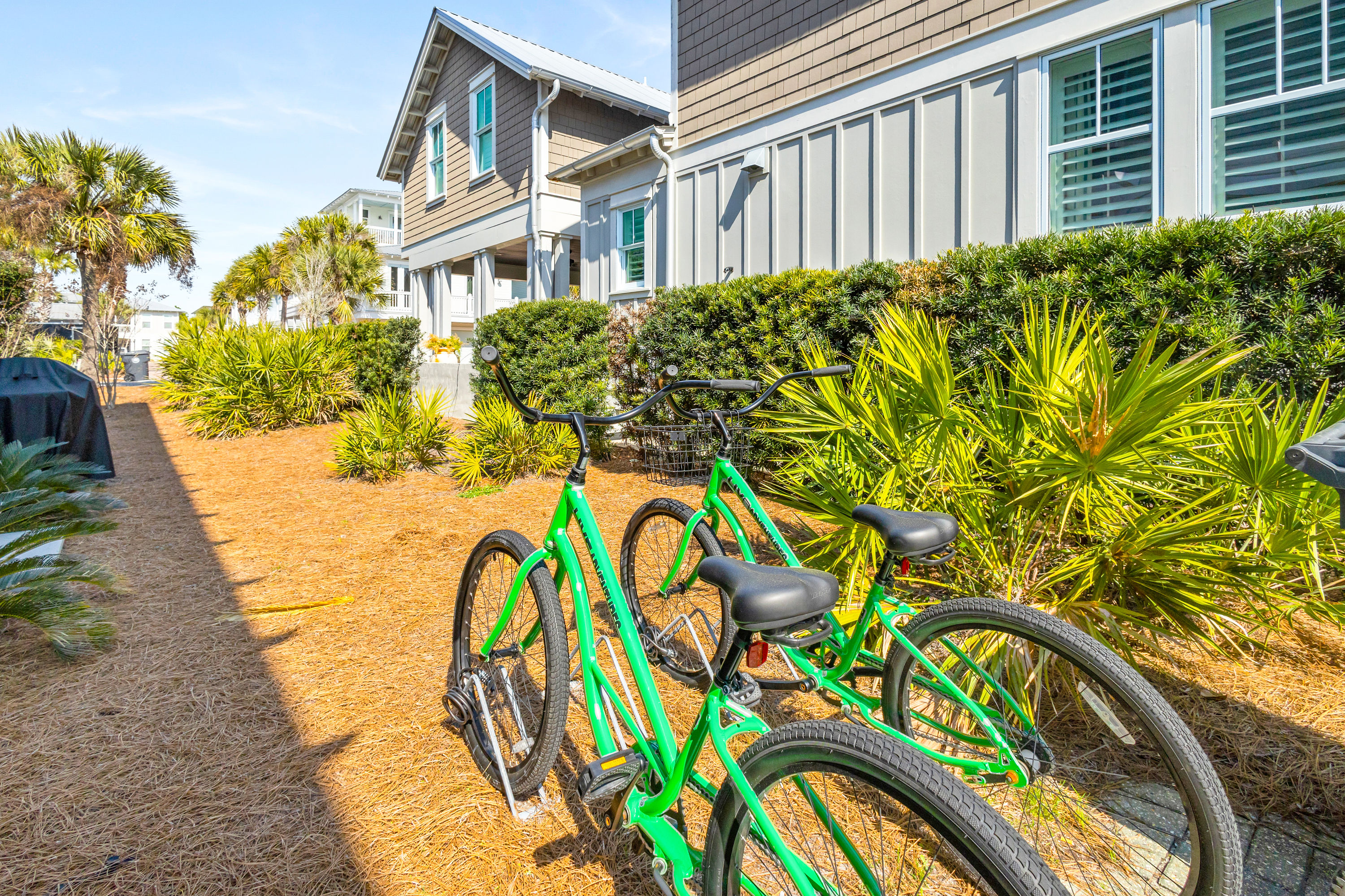 All Decked Out | Photo 56