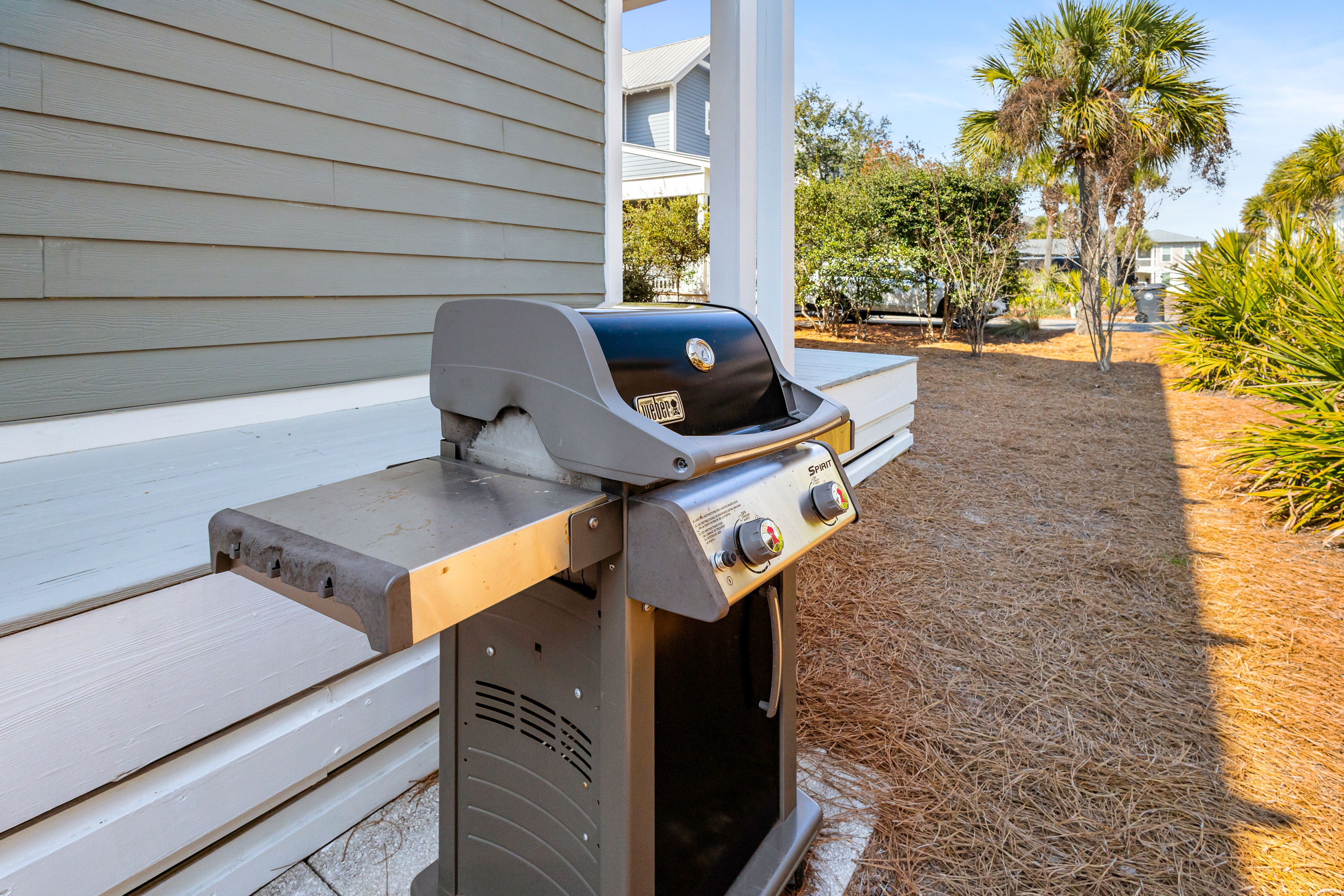 All Decked Out | Photo 67