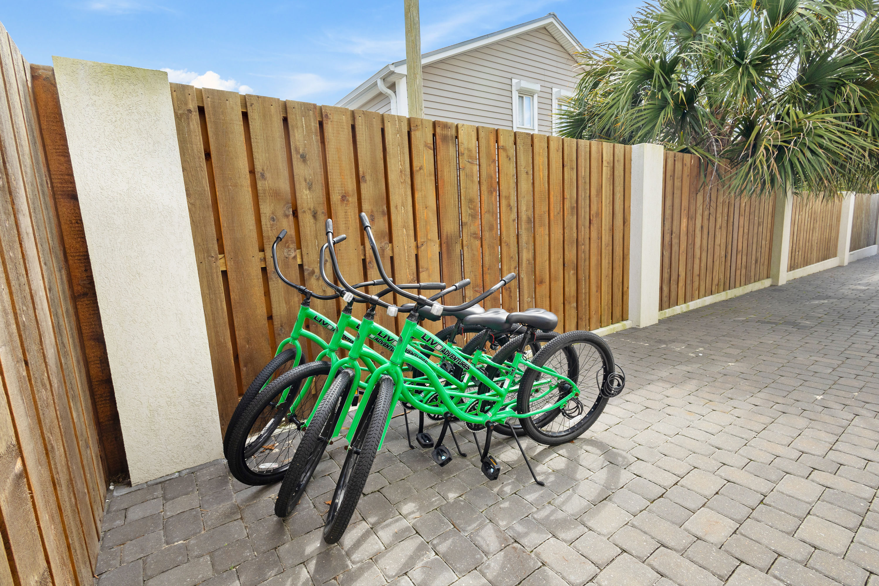 Born 2 Beach | Photo 19