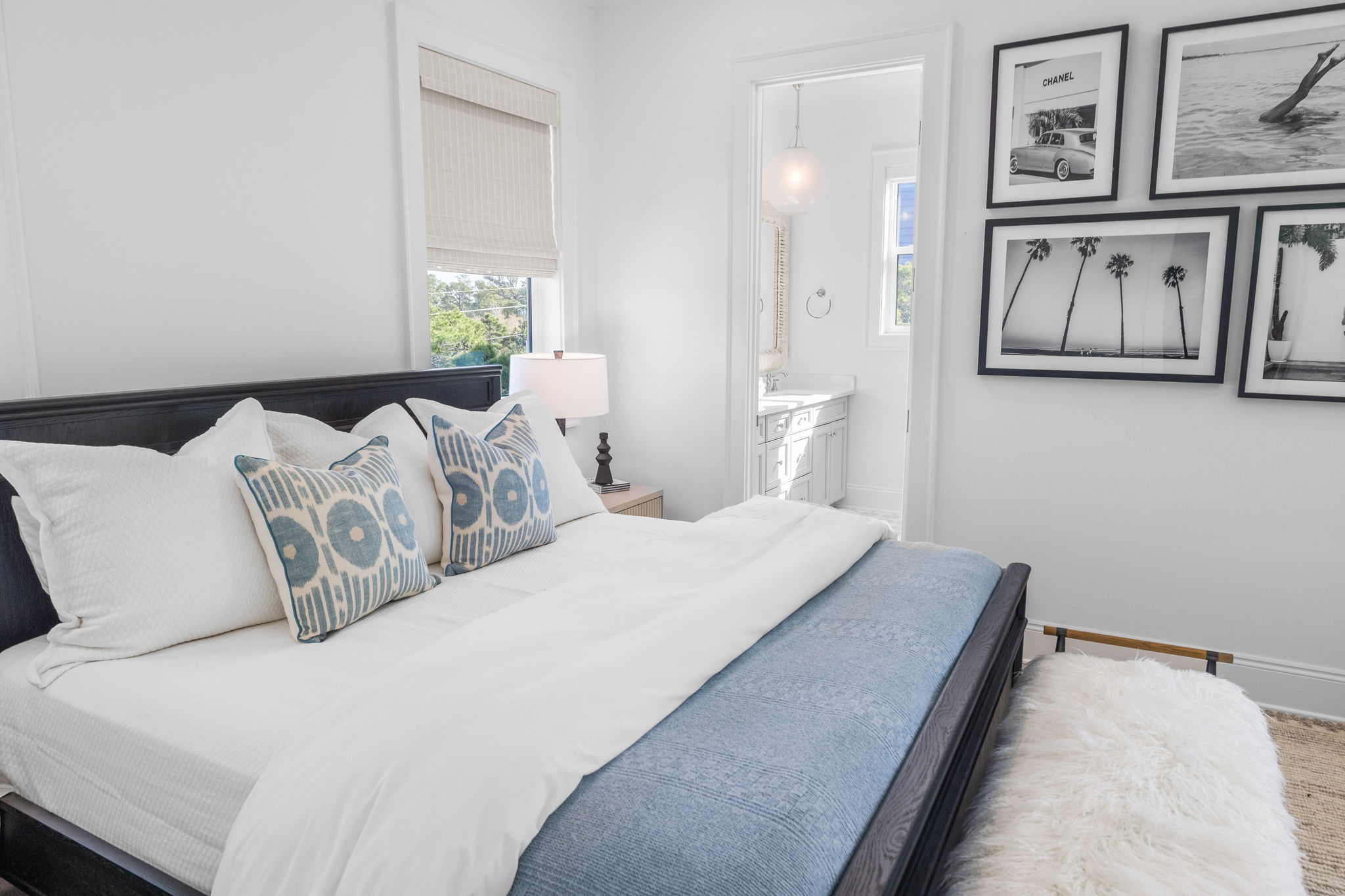 For the Shell of it | Photo 83