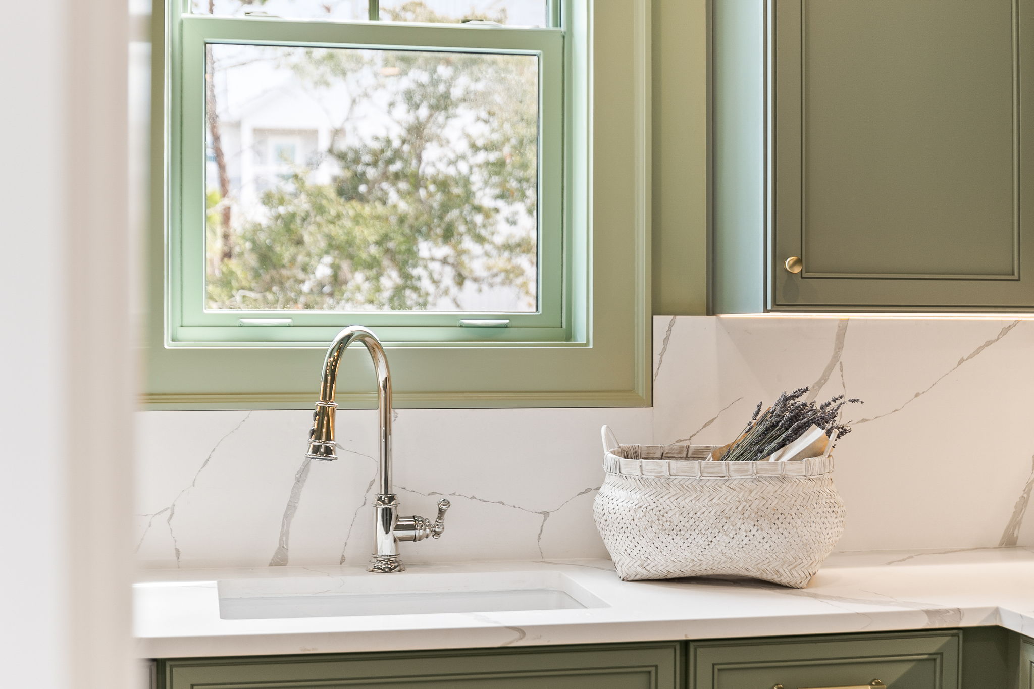 For the Shell of it | Photo 17