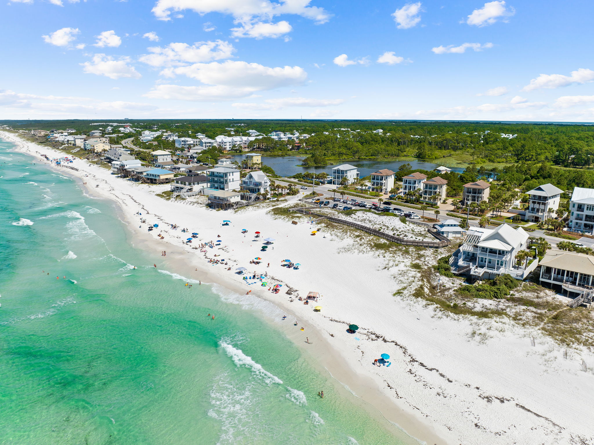 For the Shell of it | Photo 133