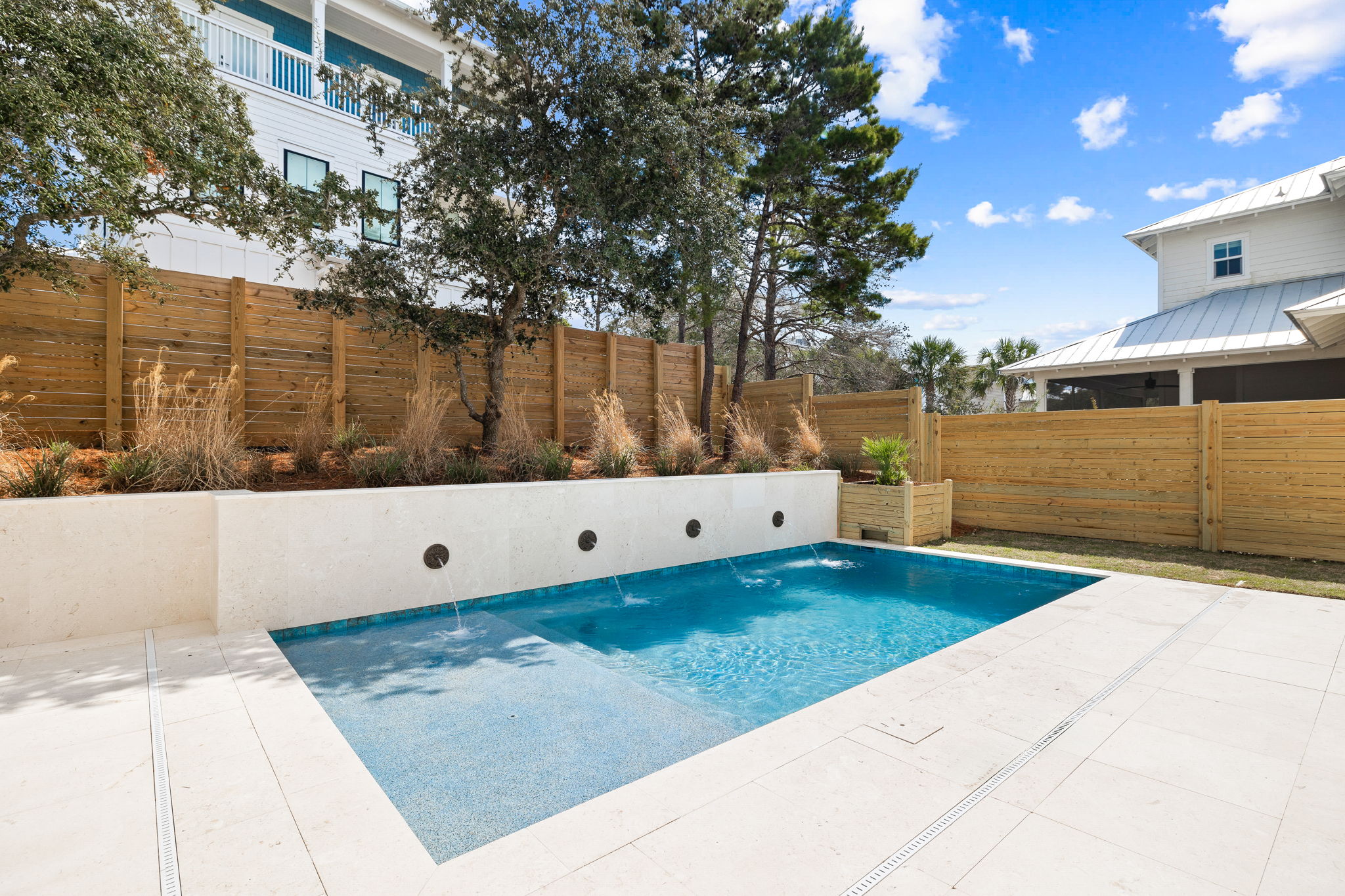 For the Shell of it | Photo 3