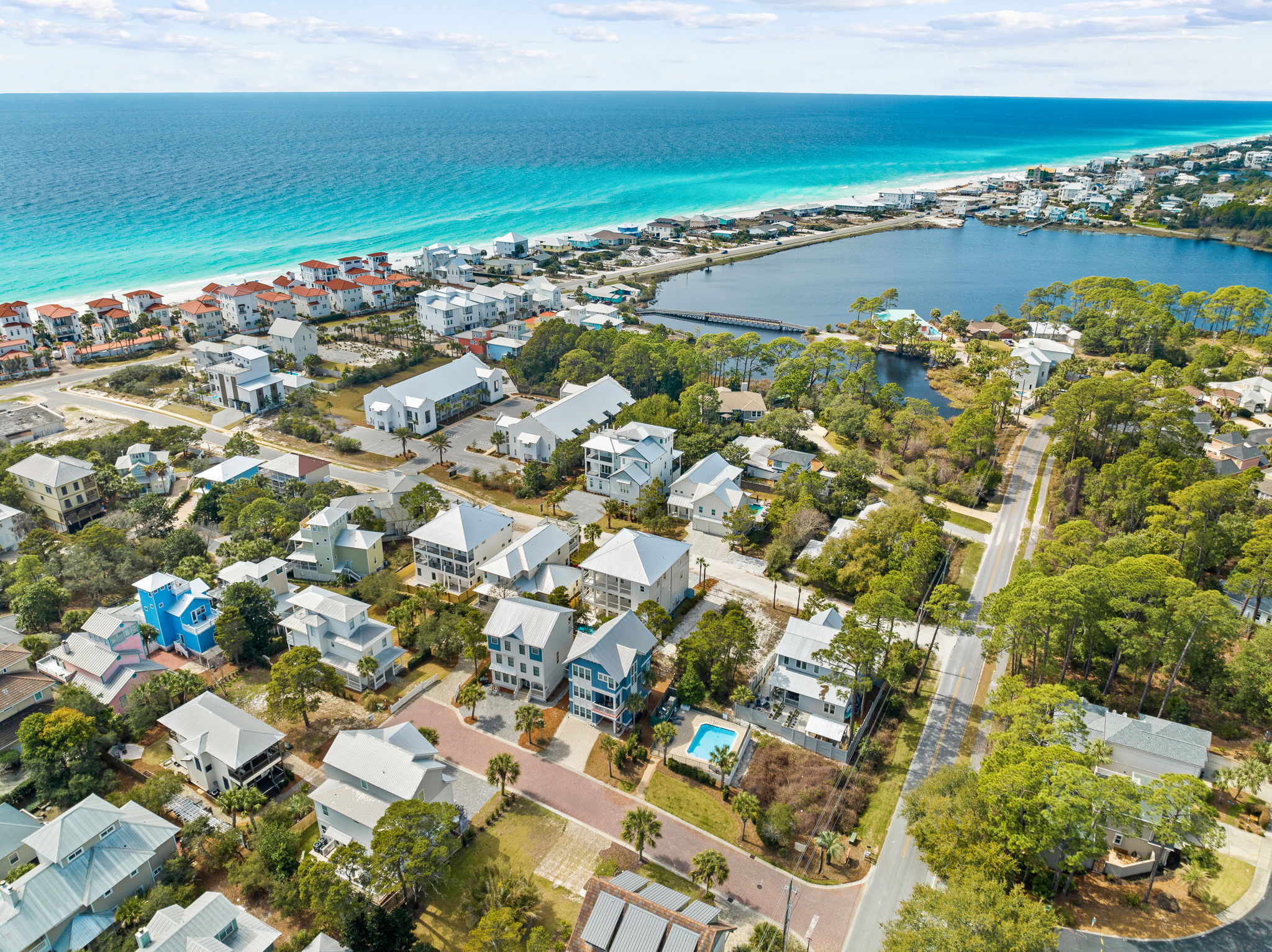 For the Shell of it | Photo 108