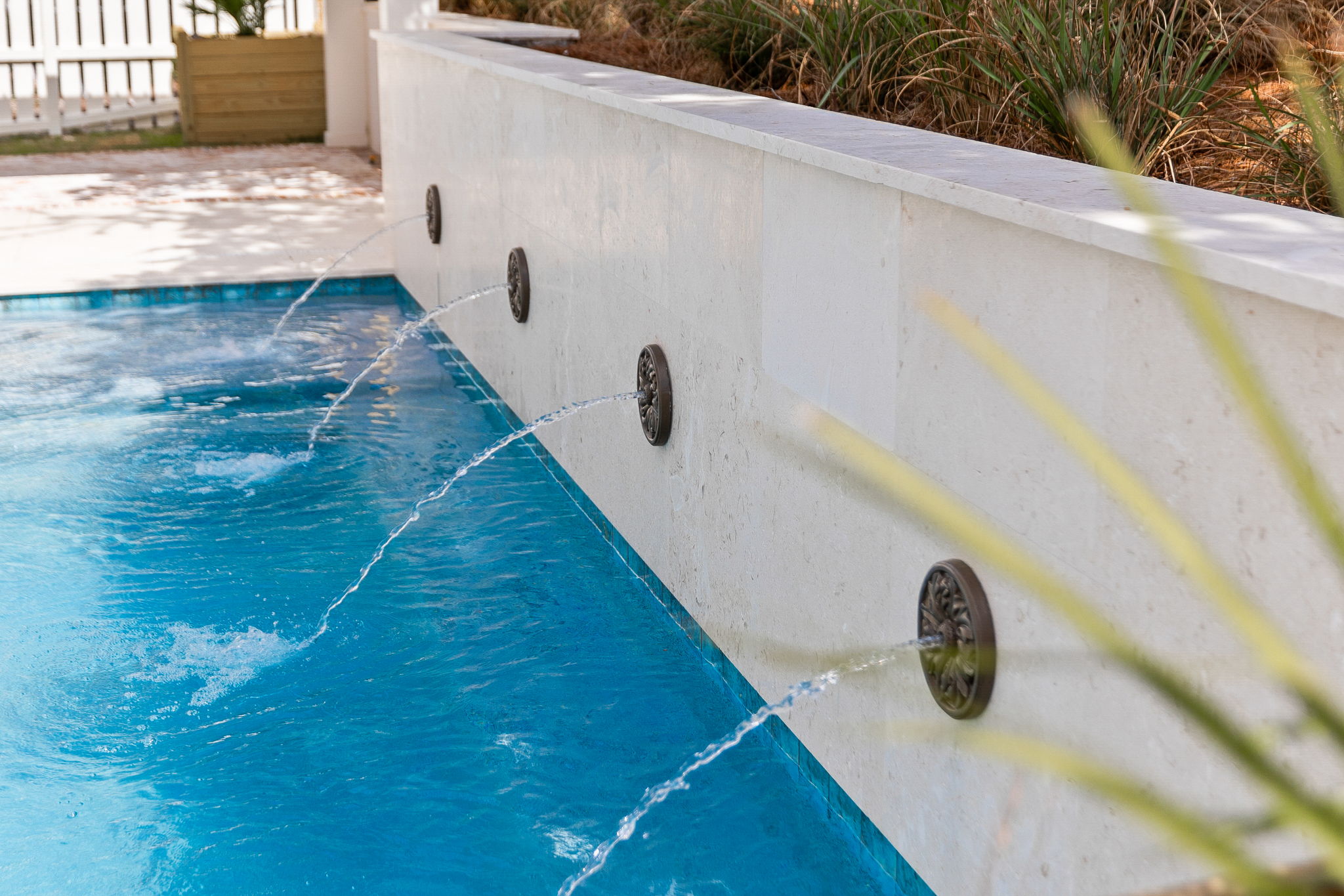 For the Shell of it | Photo 4