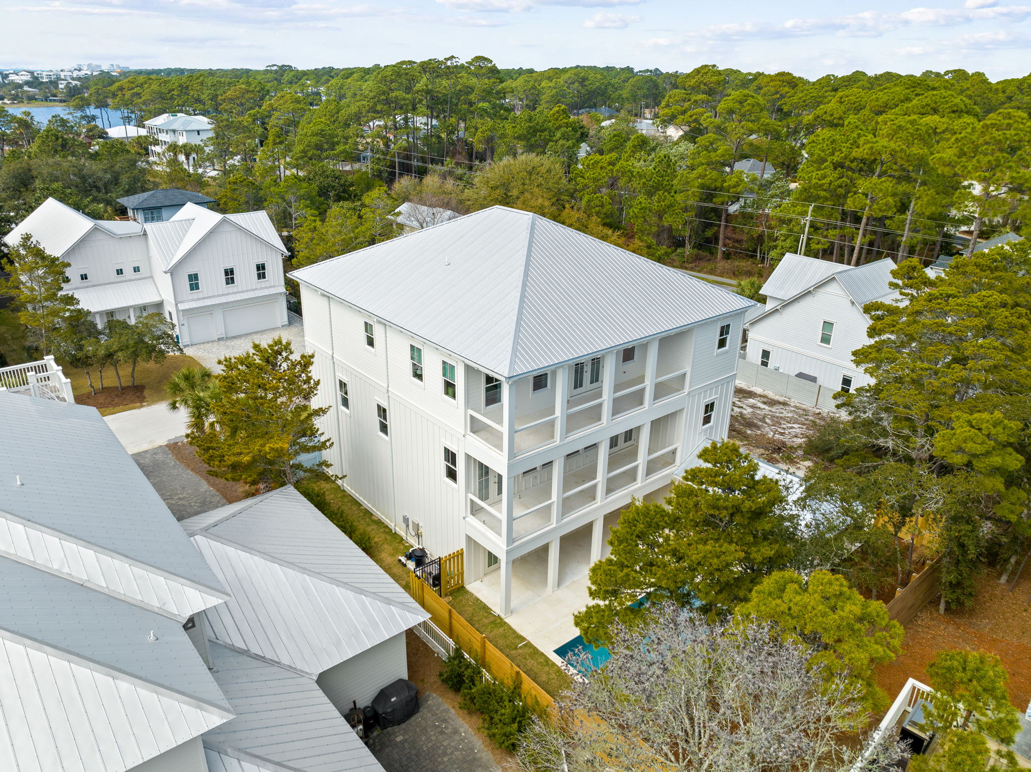 For the Shell of it | Photo 135