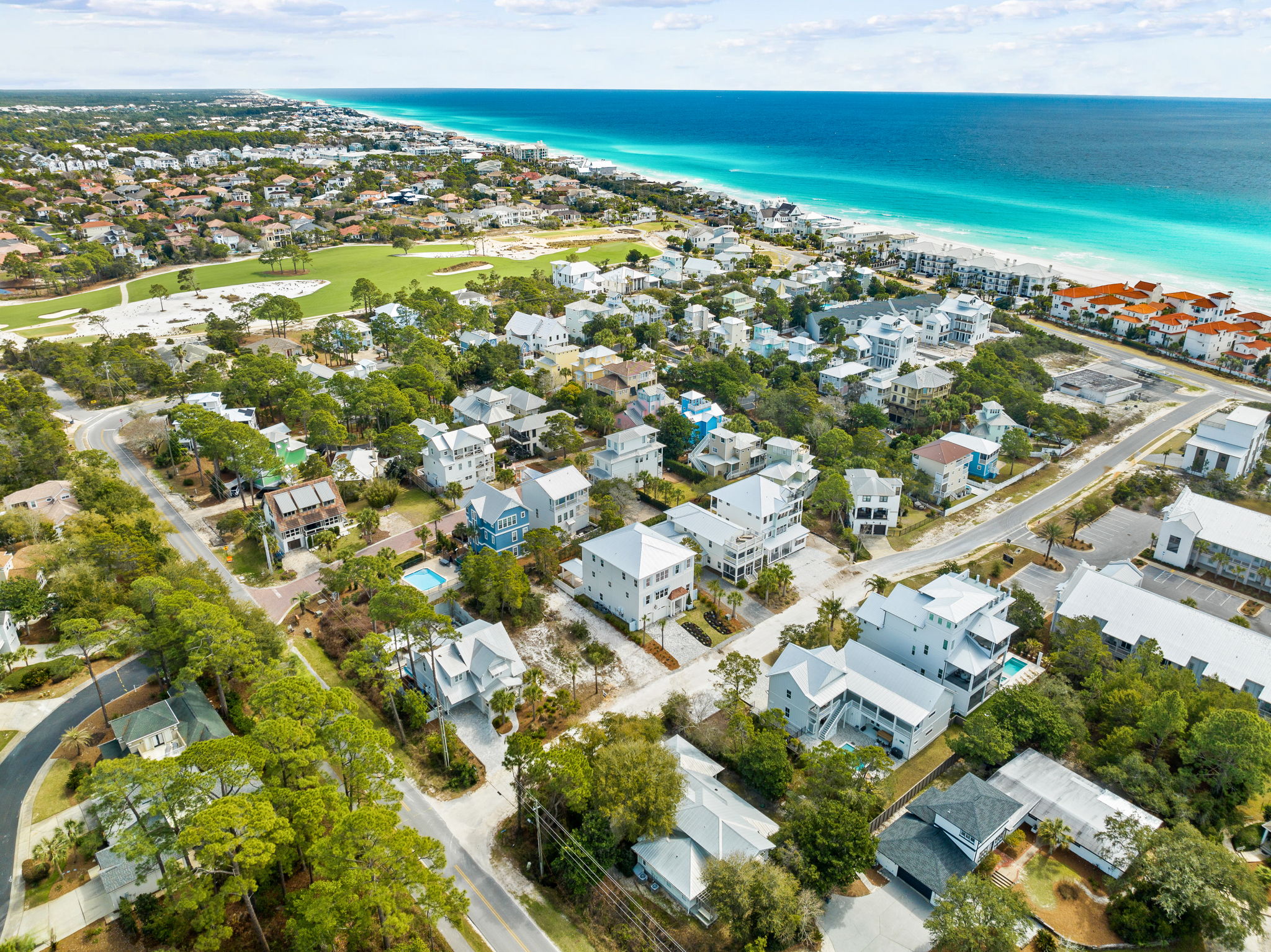 For the Shell of it | Photo 111