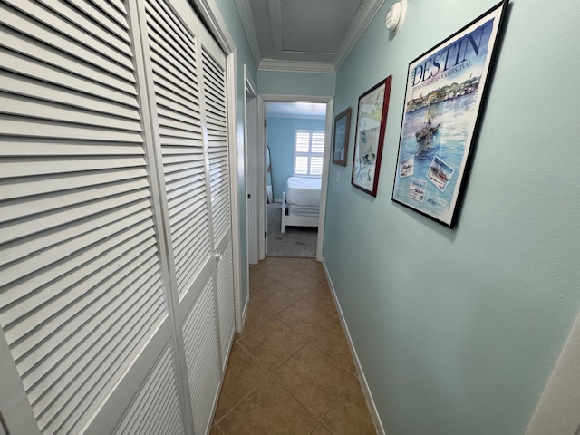 Caspian Tide | Photo 23