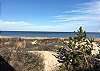 Lewes Beach Dunes