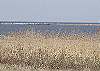2 BROADKILL BEACH