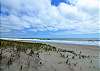 The Beach is Steps Away!