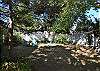 Back Yard View