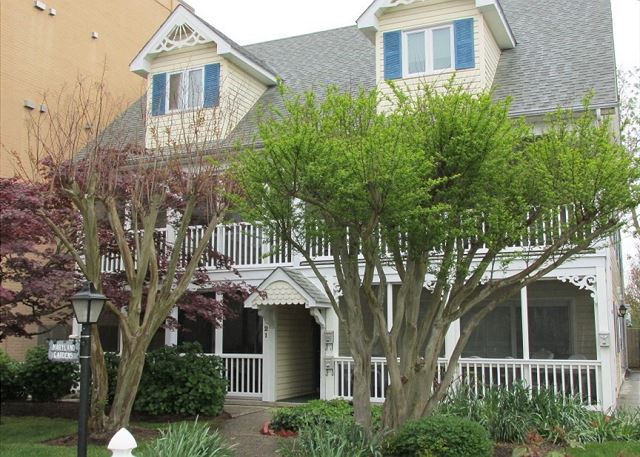 21A Maryland Avenue, Maryland Gardens