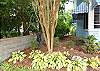 Beautiful Landscaping