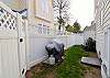 Backyard and Grill