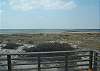 View From Back Deck