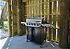 46-Gas Grill