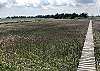 Walkway to the Broadkill River