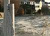 Rear View Beach Fence