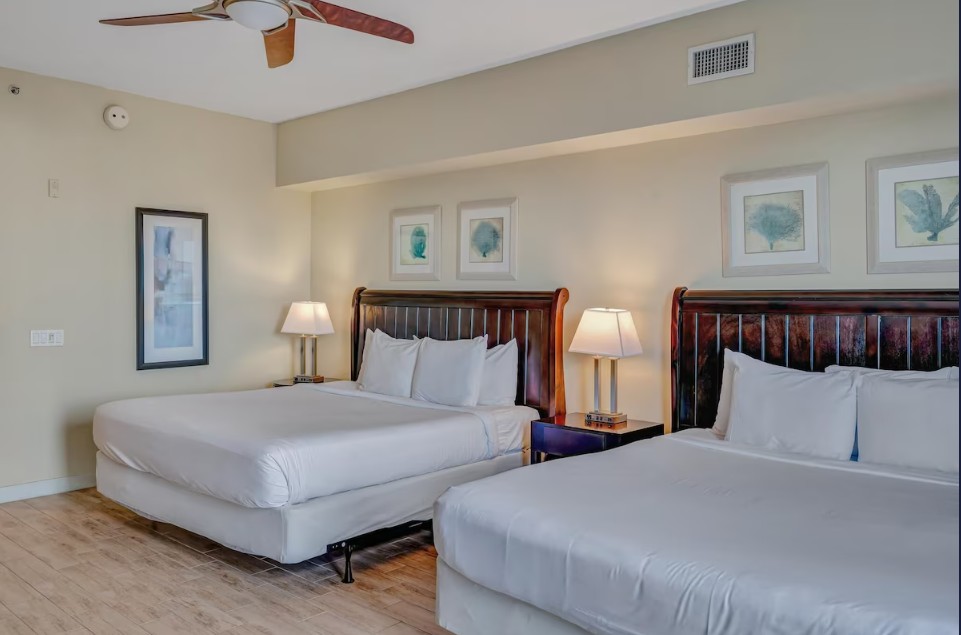 Bahia 4517 | Photo 2