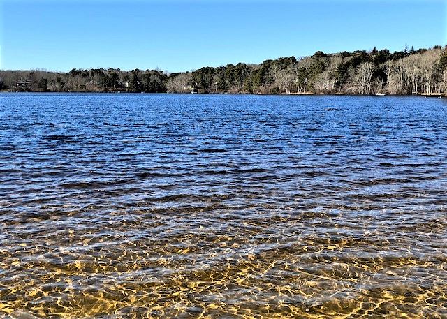 Cape Cod Vacation Home Rentals Beach House Oceanfront