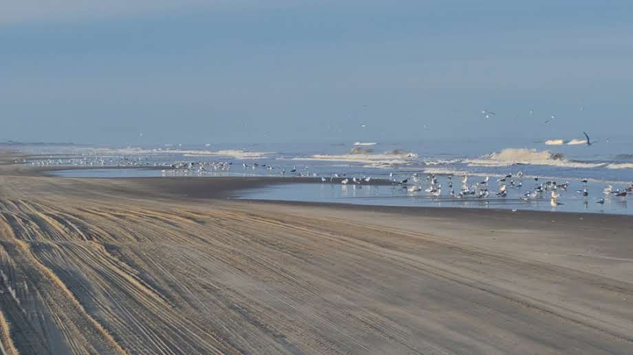 Playing Hooky | Photo 2