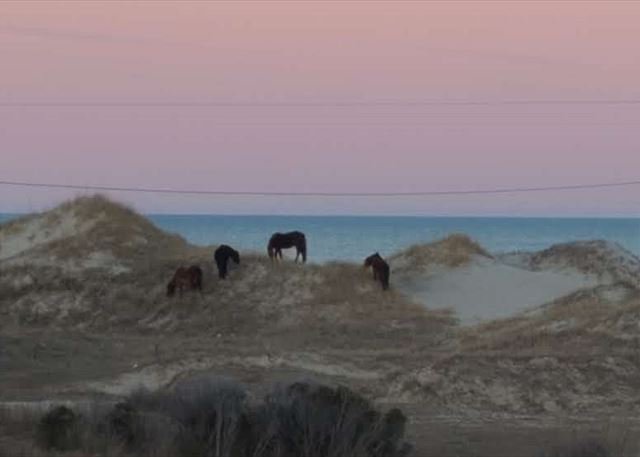 Kaptain's Treasure 4