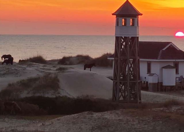 Bikinis and Bellinis 2