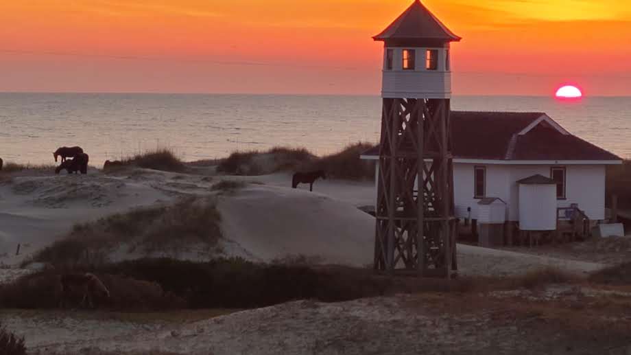 Bikinis and Bellinis | Photo 2