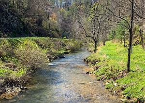Mountain Creek Vistas