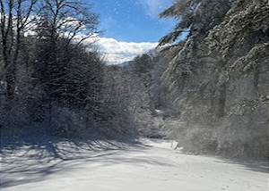 Dream Mountain Delight