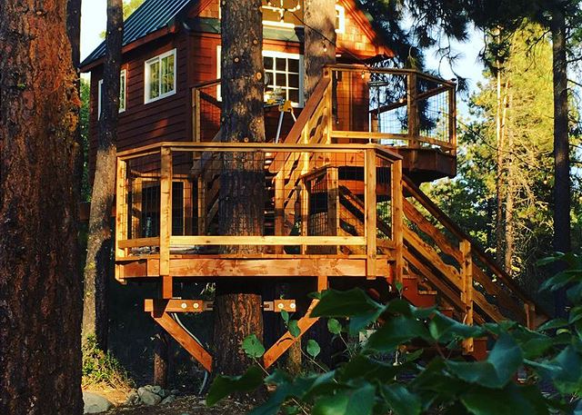 Cottage & Treehouse on 20 Acres