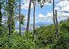 1804 Timberwinds