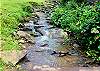 1228 Creekside Serenade