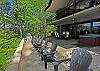 1163 The Breezeway