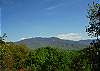 1452 Chestnut Lodge