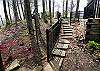 2439 Bear Hug Lodge