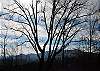 1123 Mountain Therapy