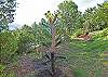 1427 Majestic Getaway