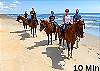 Opportunity to ride horses on the beach as well. 