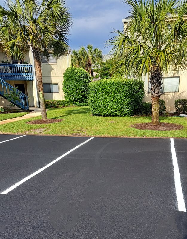 Free Parking Space