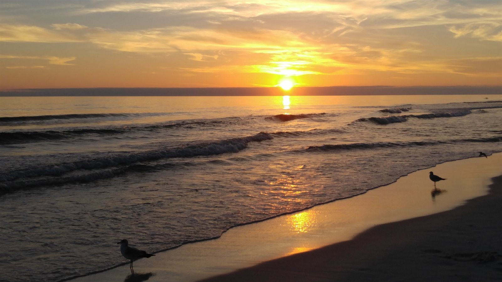 Chateau La Mer II Beautiful Beach Sunset