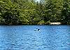 You are close to nature and wildlife at Phoenix Landing.  At night, hear the loons call.