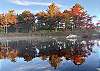 Autumn may be the prettiest season at Williams Pond.