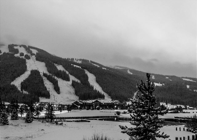 Snowbridge Square 107