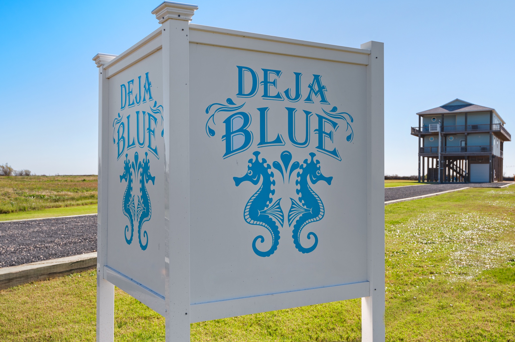 Deja Blue | Photo 3