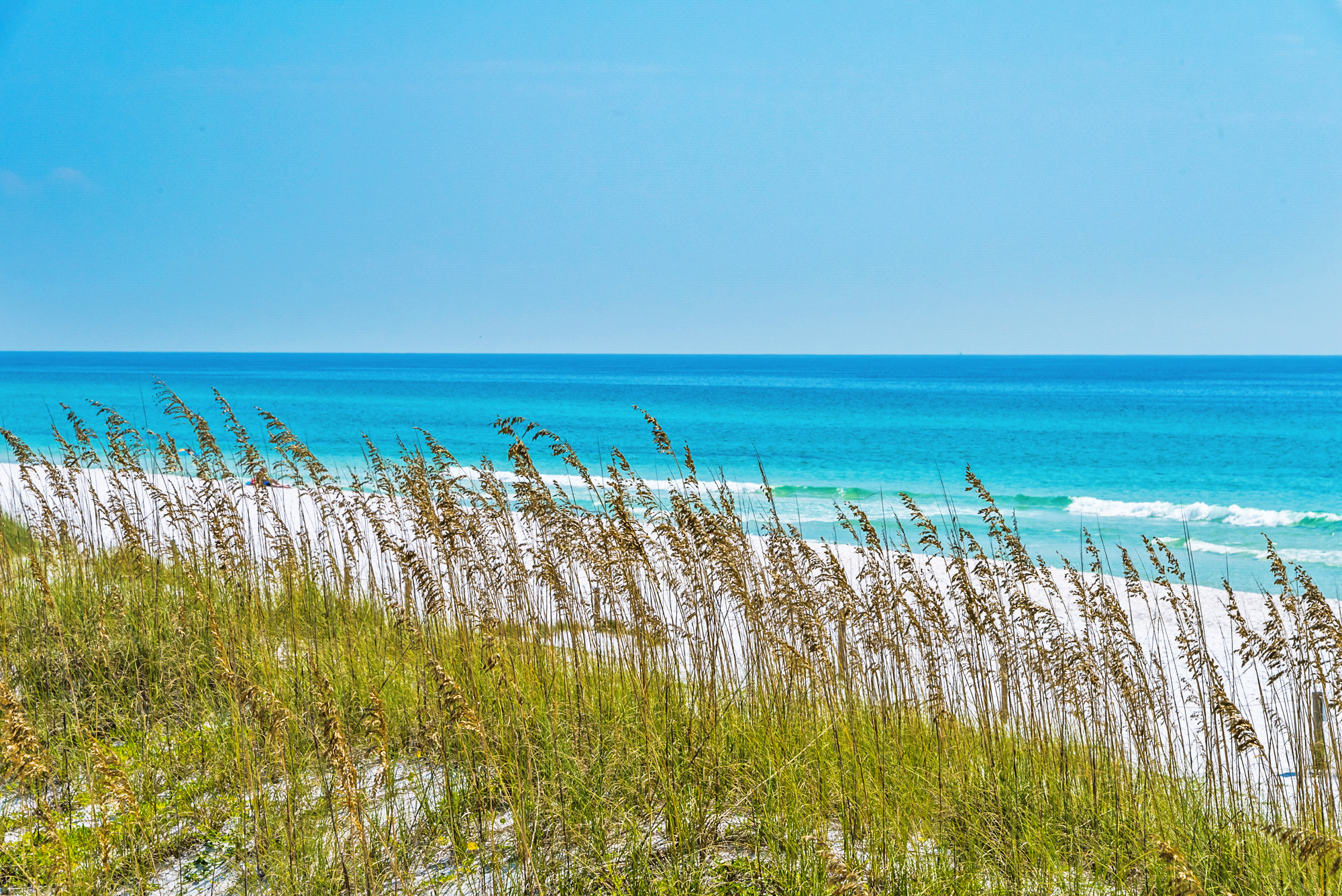 Palms of Destin 2710 51
