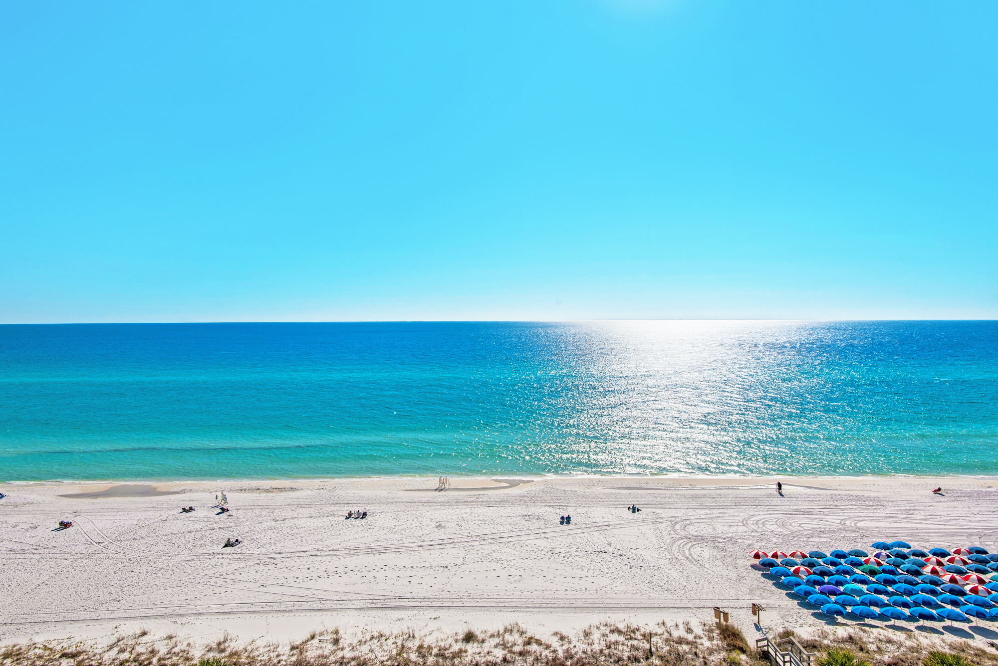Majestic Sun A809 4